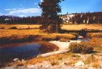 Tuolumne Meadows