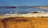 Mono Lake