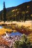 Colorado River Trail, Rocky Mountain NP