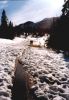 verschneite Zufahrtsstraße zum Peyto Lake