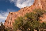 USA_1015.jpg