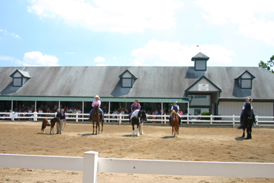 Schlüsselwörter: Kentucky Horse Park