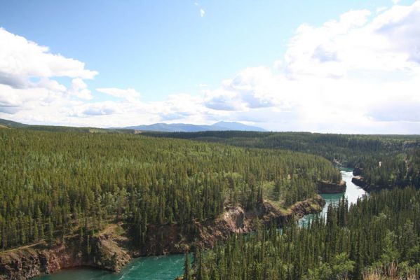 Aussichtspunkt Miles Canyon / Yukon River
