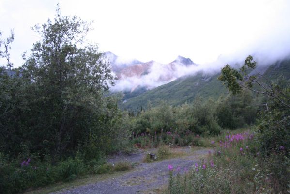 Umgebung Sheep Mountain Lodge

