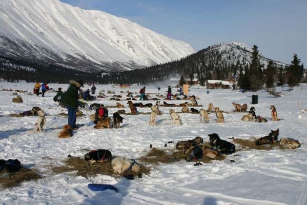 Checkpoint Rainy Pass
Schlüsselwörter: Alaska, Iditarod
