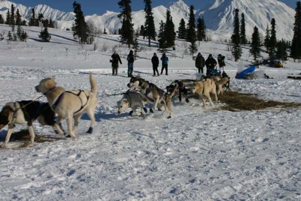 ...weiter gehts in Richtung Rohn...
Schlüsselwörter: Alaska, Iditarod