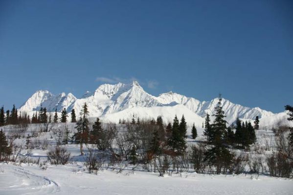 Blick in die Umgebung von Rainy Pass
Schlüsselwörter: Alaska, Iditarod