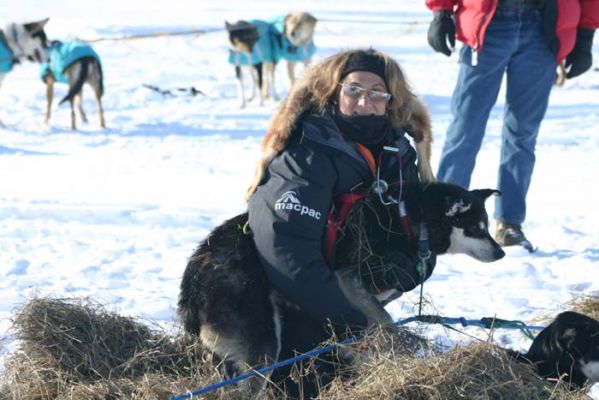 Tiermedizinische Untersuchung am Checkpoint Rainy Pass
Schlüsselwörter: Iditarod, Alaska