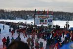 Restart des Iditarods in Willow