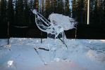 World Ice Art Champignonship