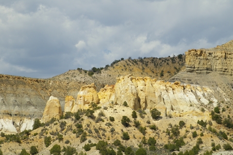 IMGP2724.jpg