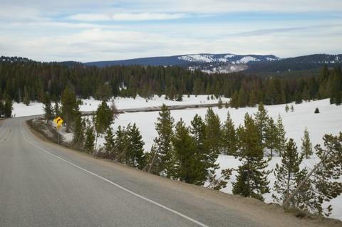 IMGP3207.jpg