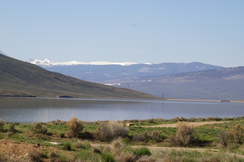IMGP3217.jpg