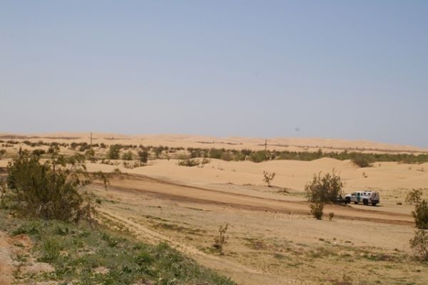 IMGP5300.JPG