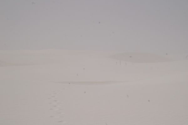 IMGP5675.JPG