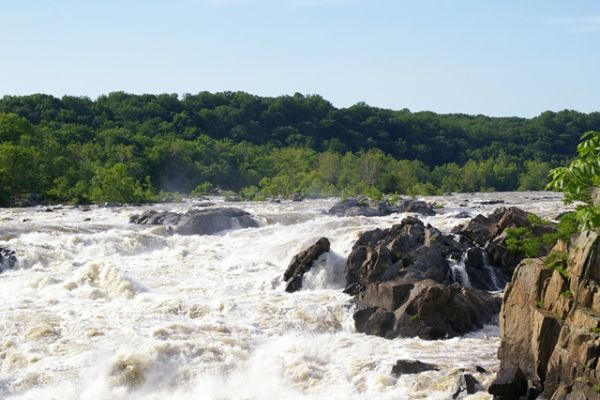 Potomac River
