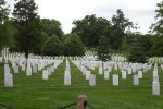 Arlington