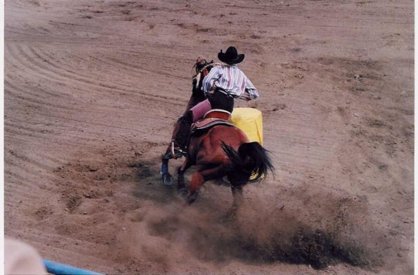 Barrel Racing
