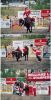 Texas Longhorn~1.jpg