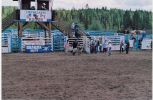 junior (sheep) riding.jpg