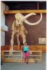mammoth.jpg