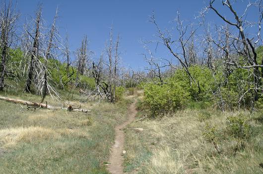 comp_PICT0080.jpg