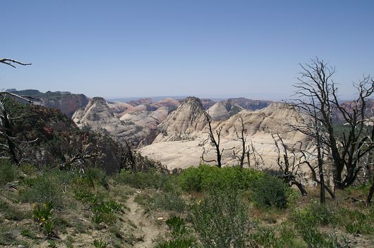 comp_PICT0092.jpg