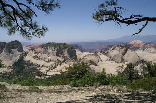 comp_PICT0132.jpg