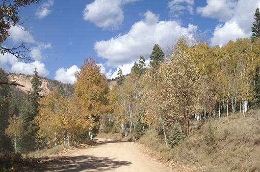 comp_PICT0319.jpg