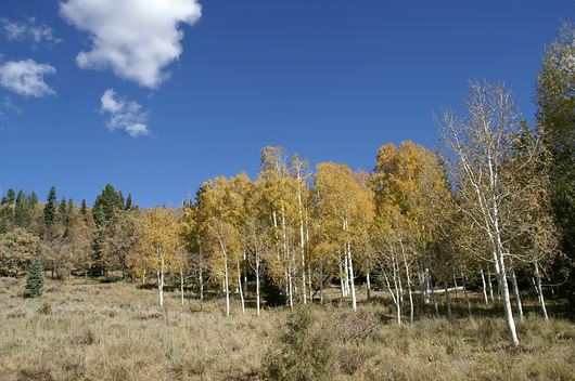 comp_PICT0320.jpg