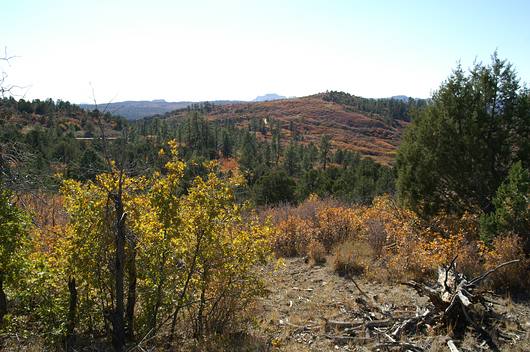 comp_PICT0331.jpg