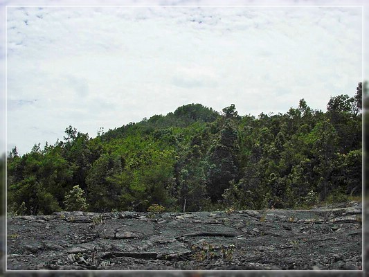 Big Island: Napau Crater Trail
