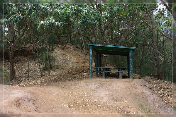 Kuli'ou'ou Ridge Trail
