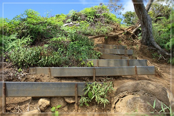 Kuli'ou'ou Ridge Trail
