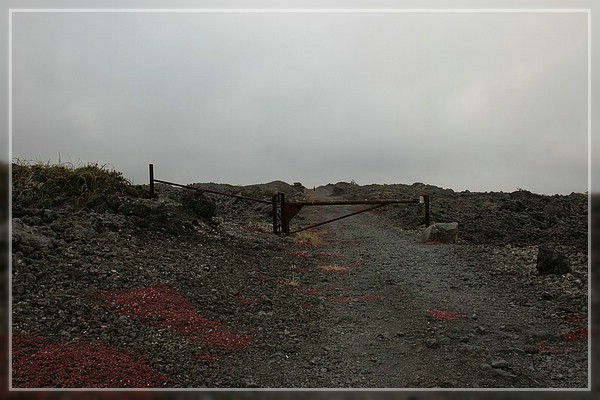 Big Island, Powerline Trail
