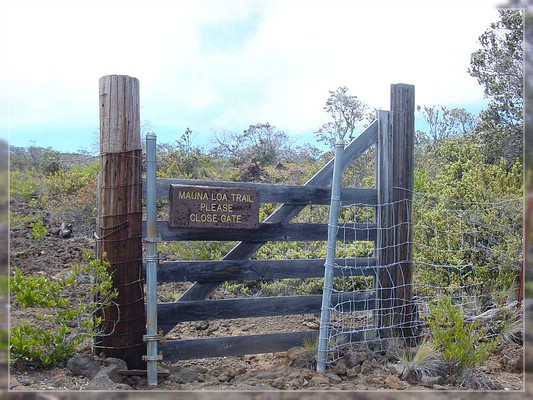 Big Island, Mauna Loa Road

