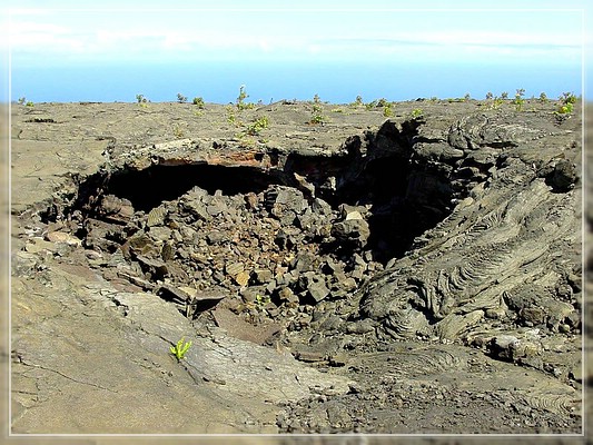 Big Island: Naulu Trail

