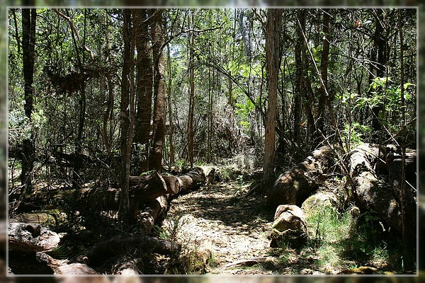 Big Island, Pu'u O'o Trail
