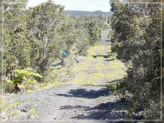 Big Island, Powerline Trail
