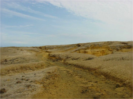 Big Island, Richtung Green Sand Beach
