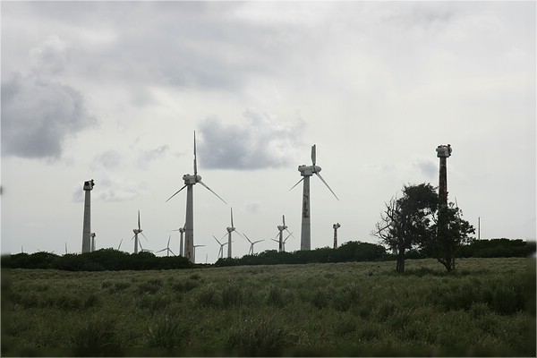 Big Island, South Point Road
