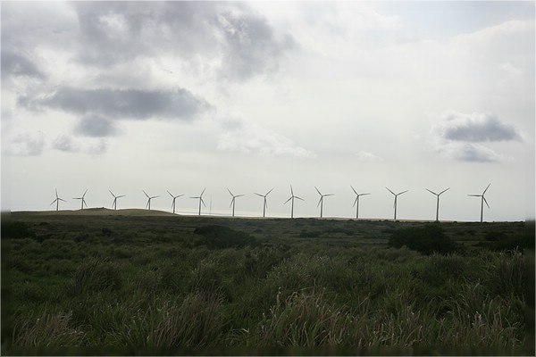 Big Island, South Point Road
