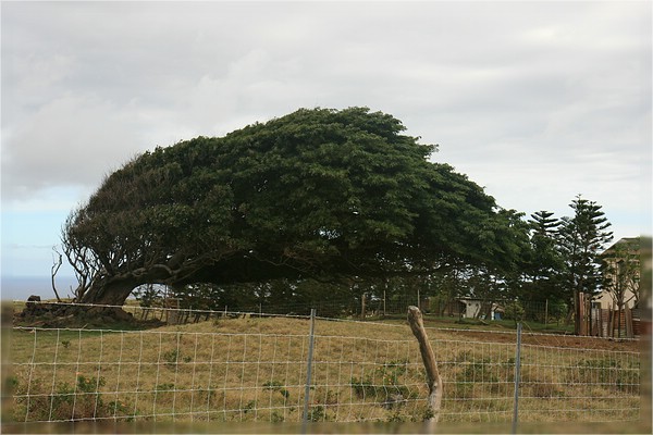 Big Island, South Point Road
