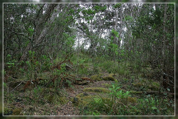 Big Island, Pu'u O'o Trail
