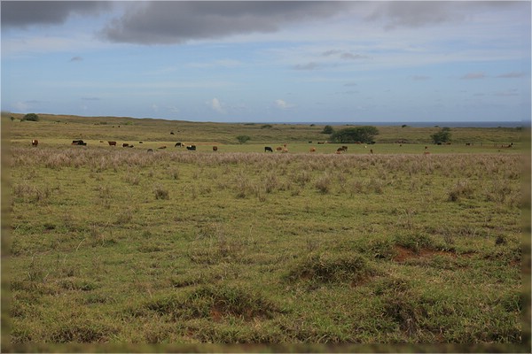 Big Island, South Point Road
