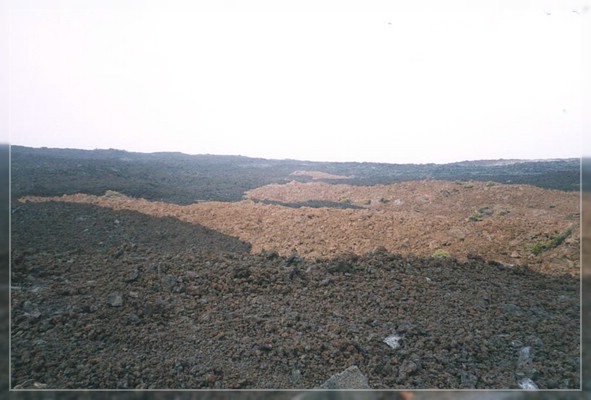 Big Island: Mauna Loa Observatory Road
