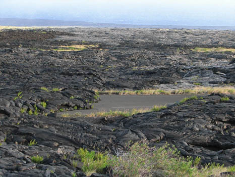 Alanui Kahiko
