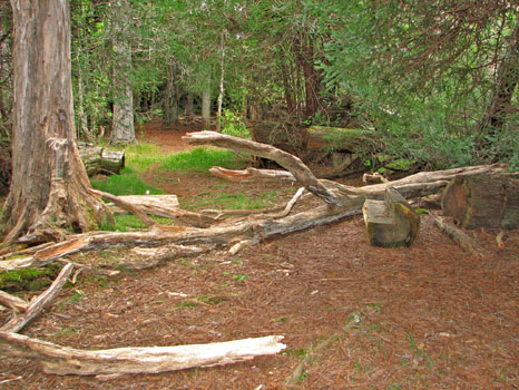 Berry Flat Trail
