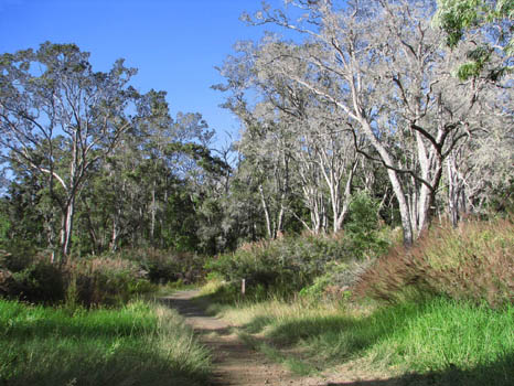 Bird Trail
