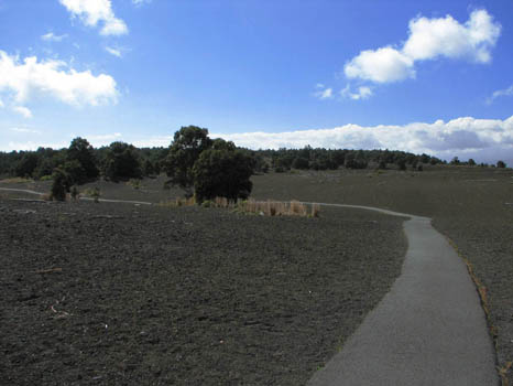 Devestation Trail
